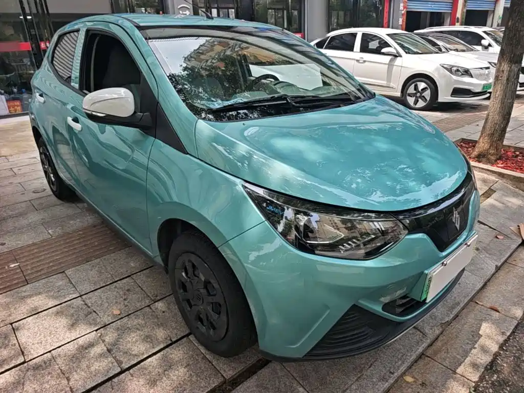 JMCG New Energy Little Kirin 2024 2023 Model Lucky Edition 201km Comfort