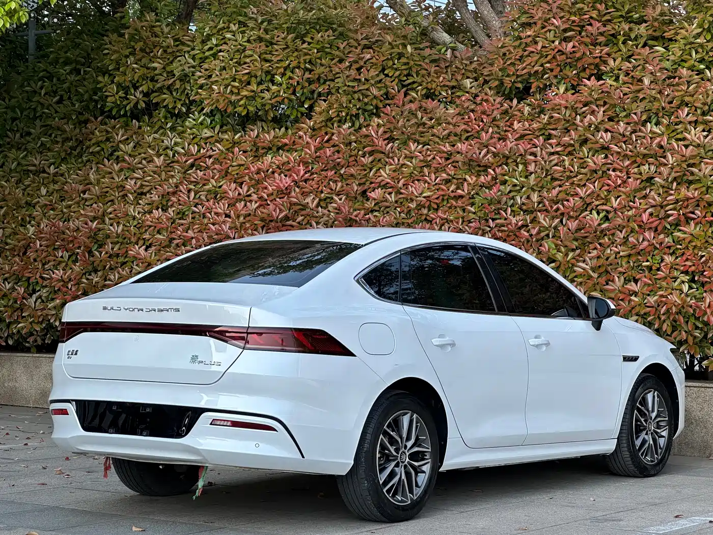 BYD Qin PLUS 2021 EV 400KM Luxury Model фото 13