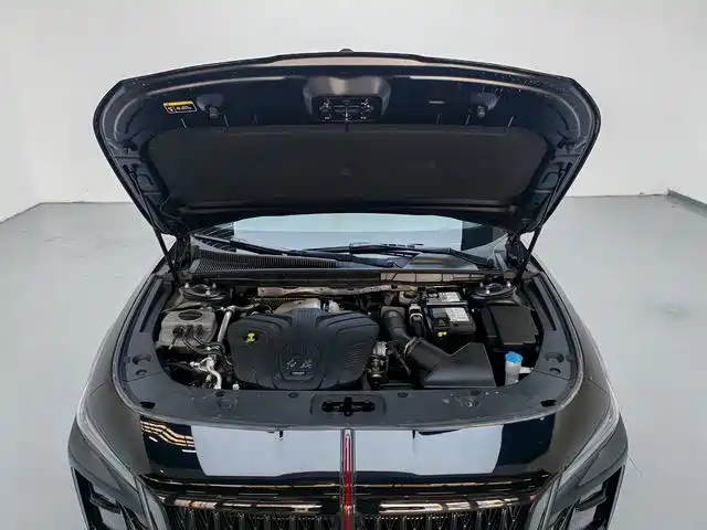 Photo 16 - Hongqi H5