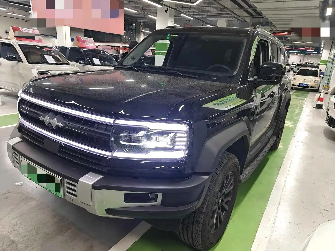 FANG CHENG BAO LEOPARD 5