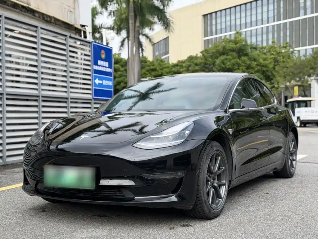 Tesla Model 3 (Import) 2019 2019 Long Range RWD Version