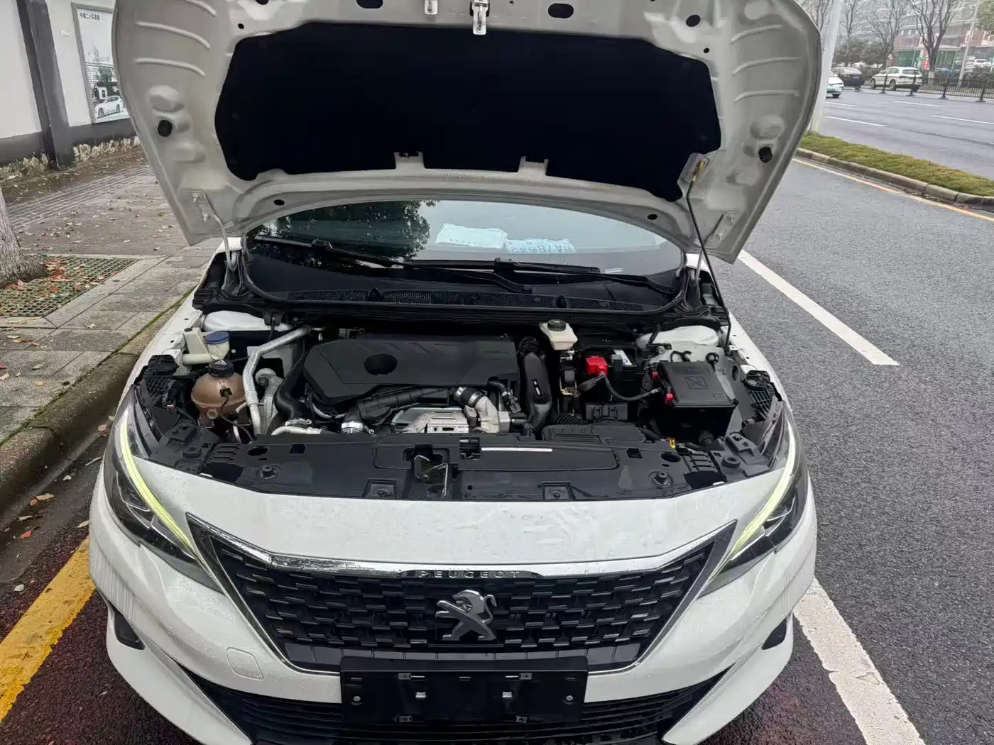 Peugeot 408 2020 360THP 10th Anniversary Premium Edition фото 16