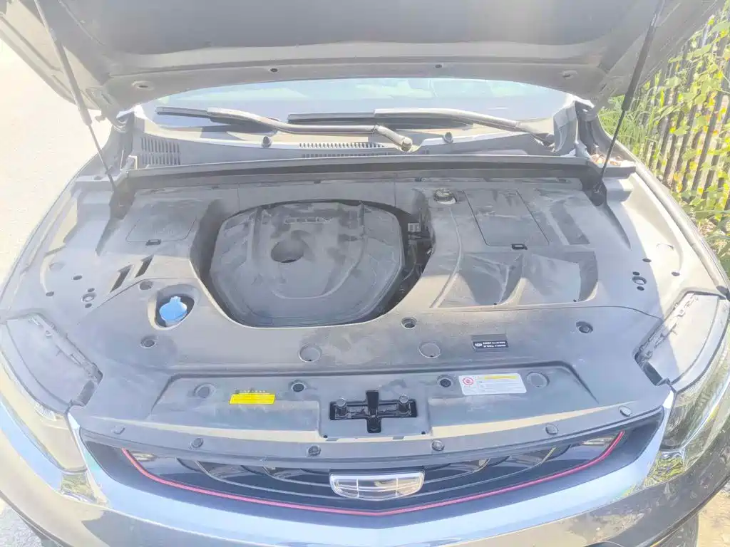 صورة 3 - Geely Tugella
