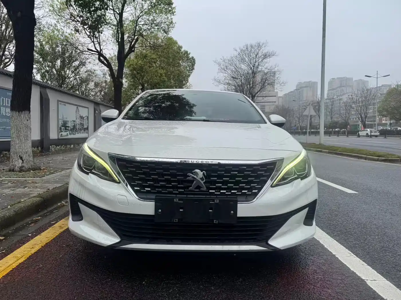 Peugeot 408 2020 360THP 10th Anniversary Premium Edition фото 2