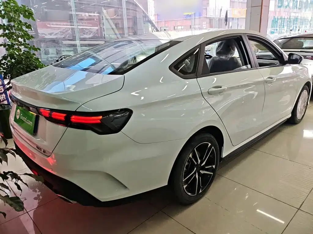 Фото 7 - Geely Binrui
