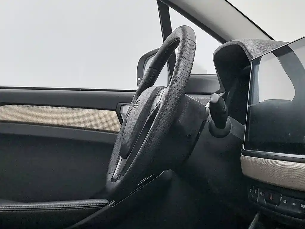 Nezha Auto Nezha N01 2019 2020 380i
