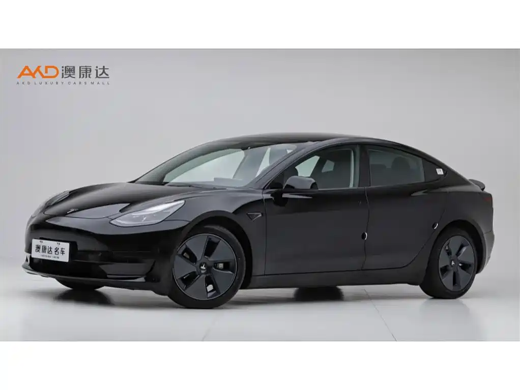 Tesla Model 3 2021 Standard Range Rear-Wheel Drive Upgrade