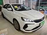 Фото 4 - Geely Binrui