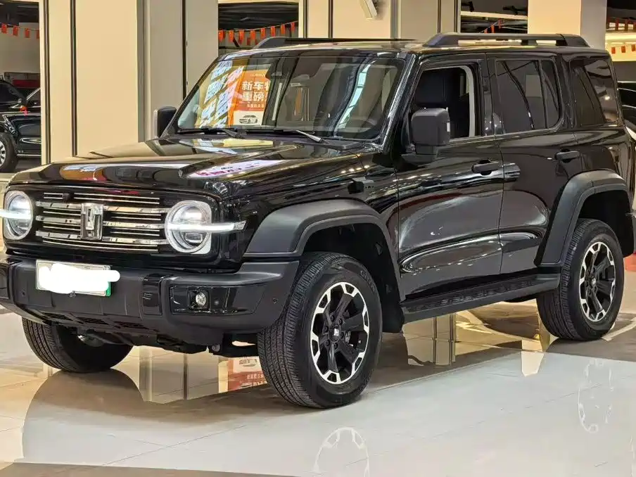 Tank 300 New Energy 2025 — пригон из Китая