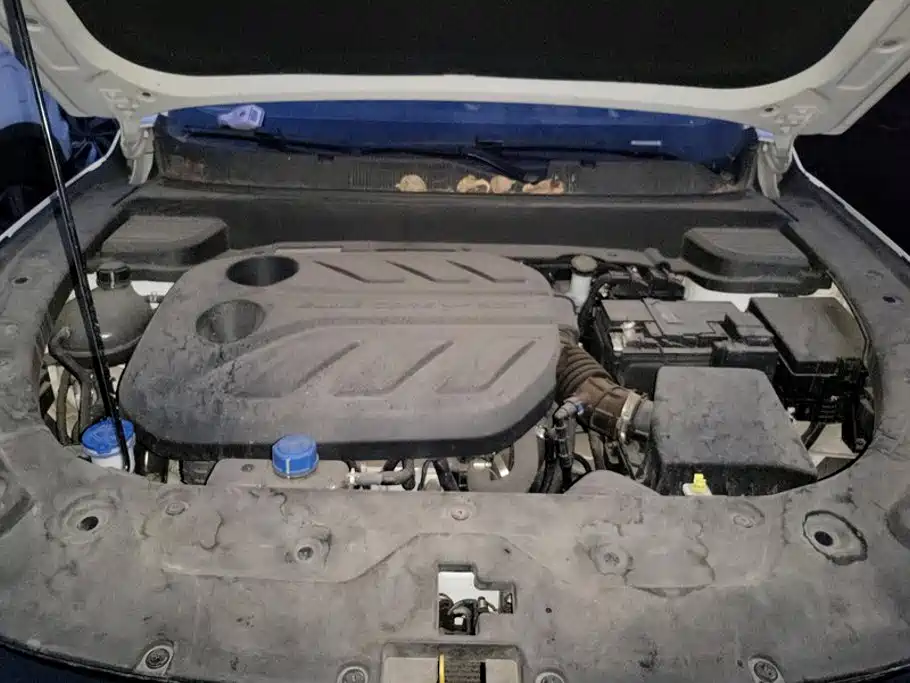 Changan X5 PLUS 2024 2024 1.5T DCT Pioneer Model