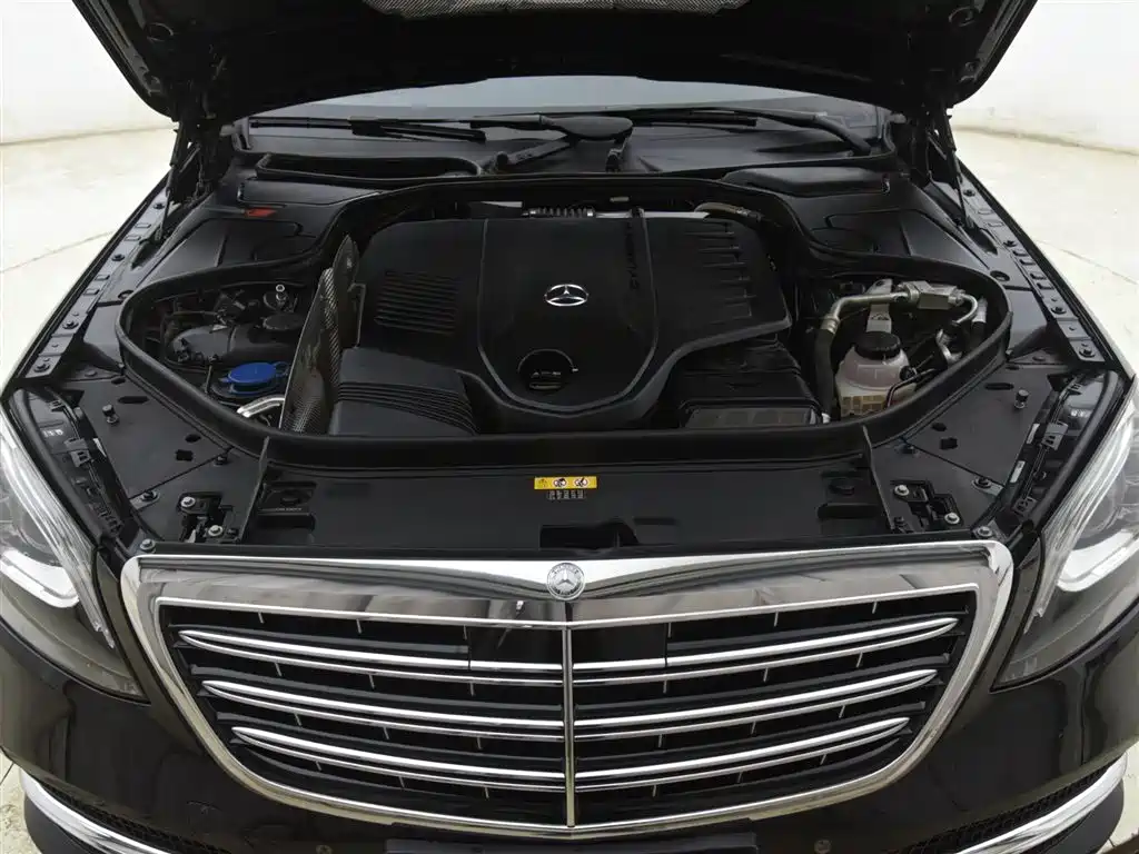 Mercedes-Benz S-Class 2020 S 350 L Business Edition Collector's Version фото 12
