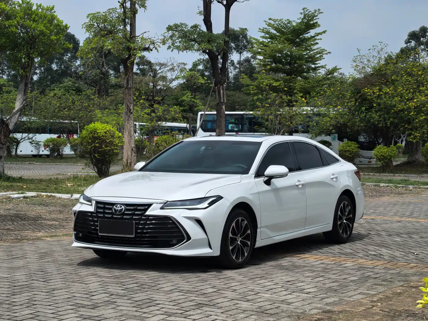Toyota Avalon 2024 Model 2.0L Premium Selection Edition