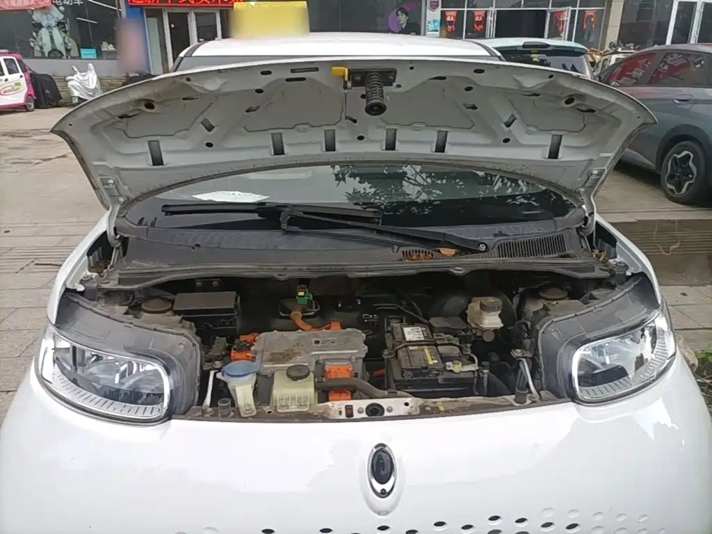 Ora White Cat 2020 2020 360km Luxury Model