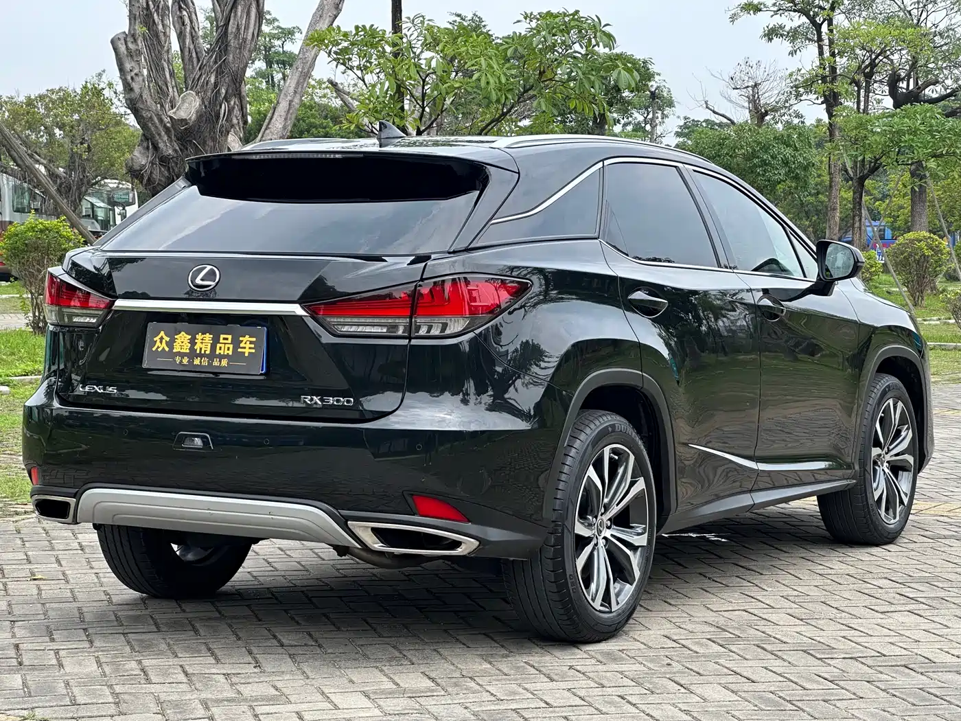 LEXUS RX