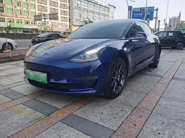 TESLA MODEL 3 2021