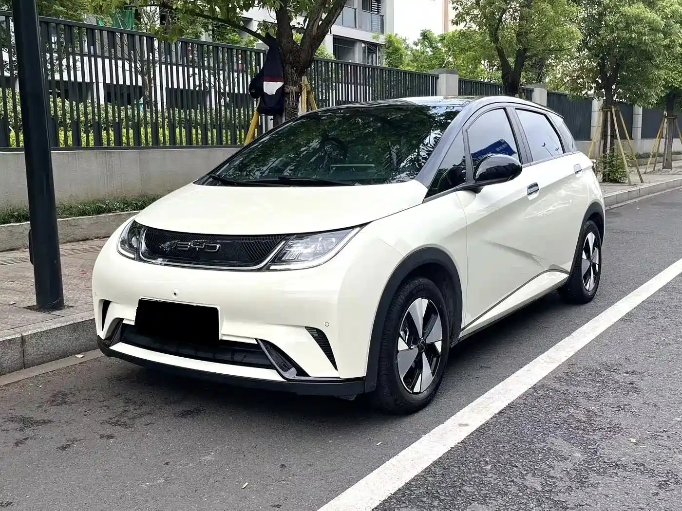 BYD Dolphin 2023 420km Freedom Edition
