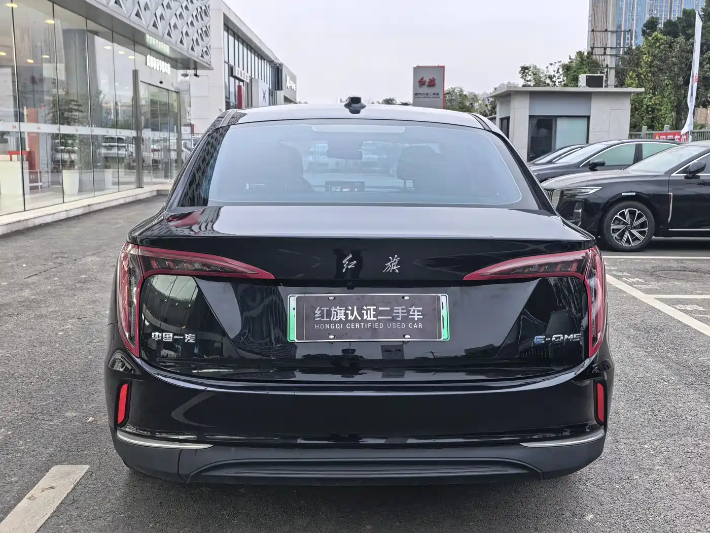 Hongqi E-QM5 2023 Facelift Basic Travel Edition фото 5