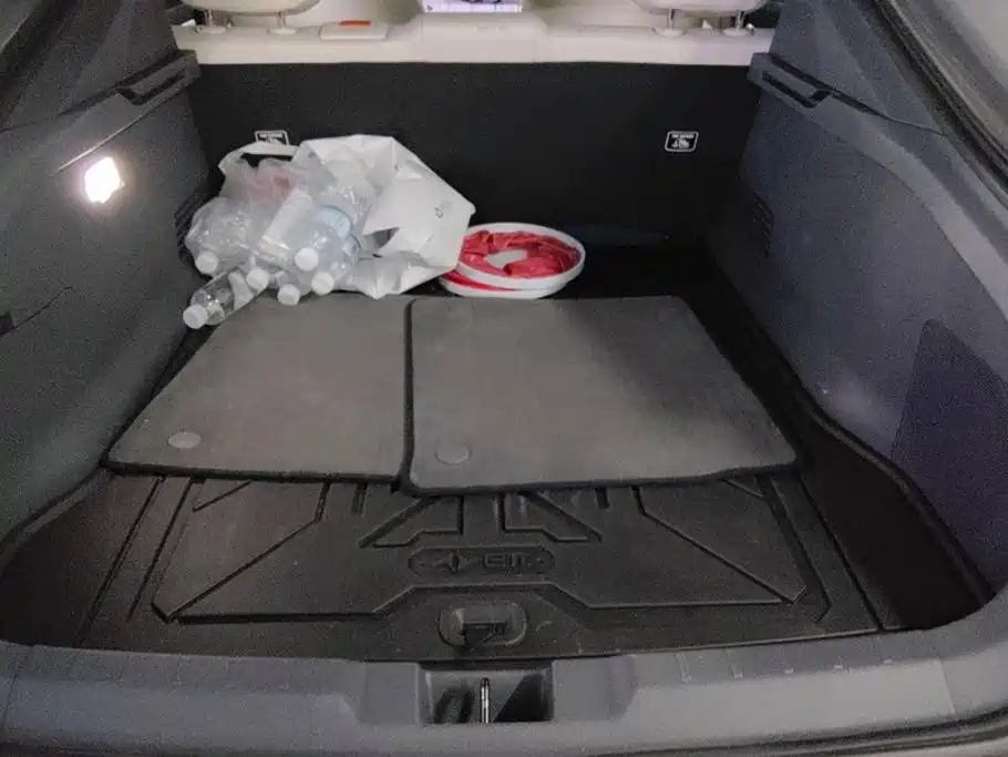 2025 Dongfeng Yipai eπ007