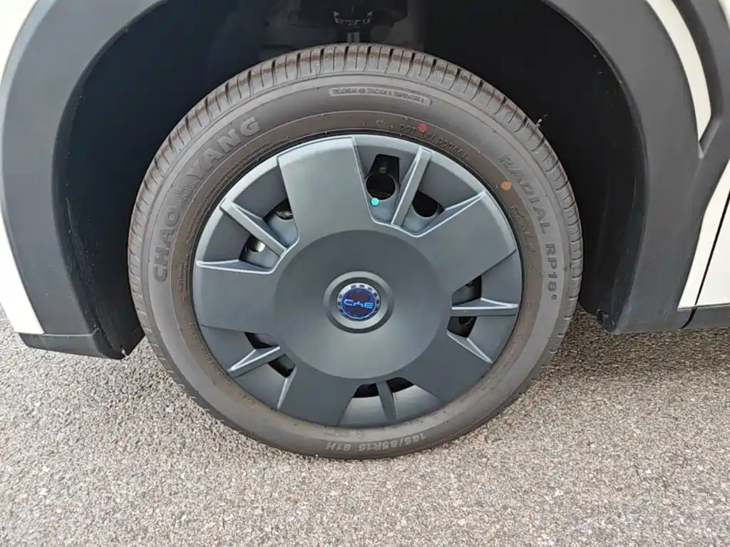 BYD Seagull 2026 2025 305km Vitality