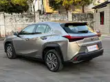 صورة 12 - Lexus UX Electric