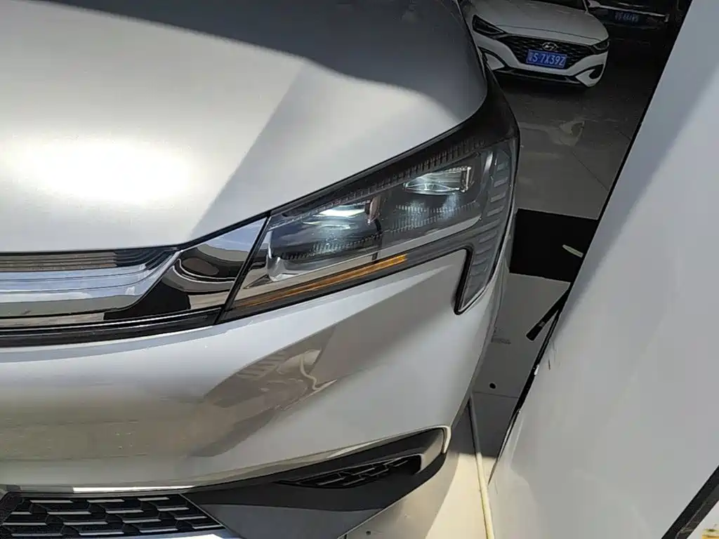 Aion LX 2021 2019 Model 80