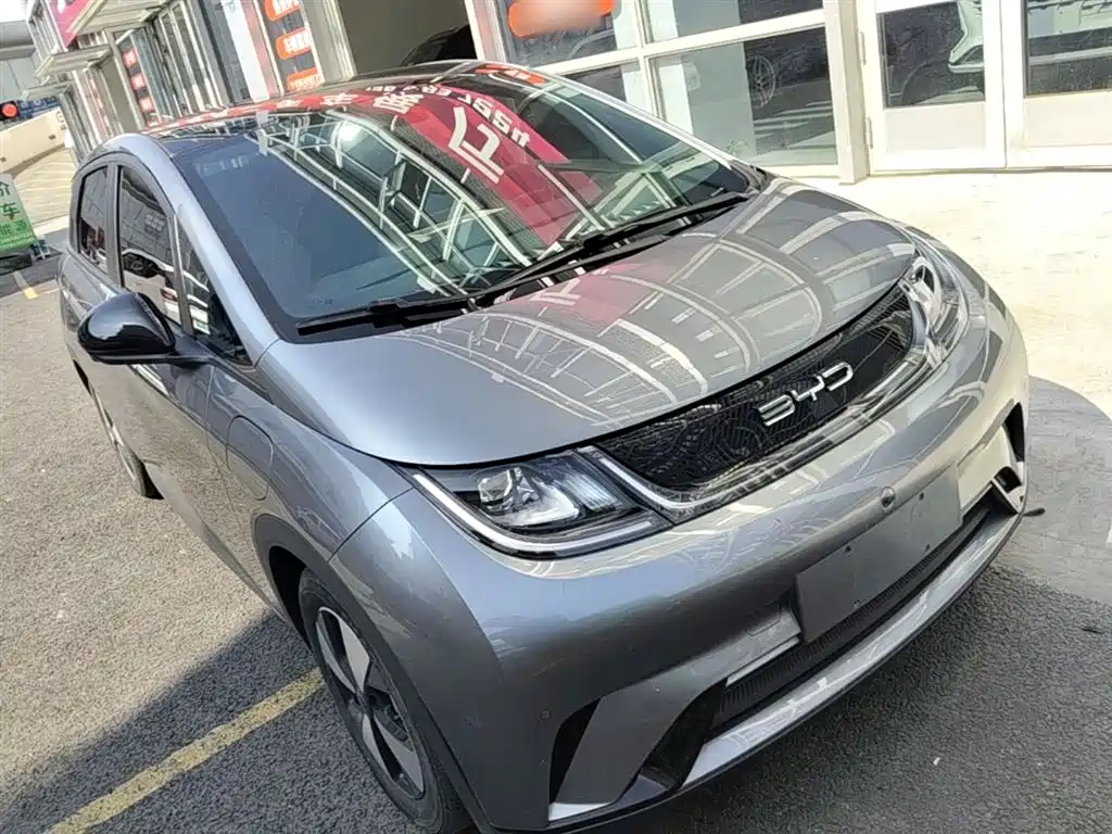 BYD Dolphin 2023 420km Fashion Edition фото 4