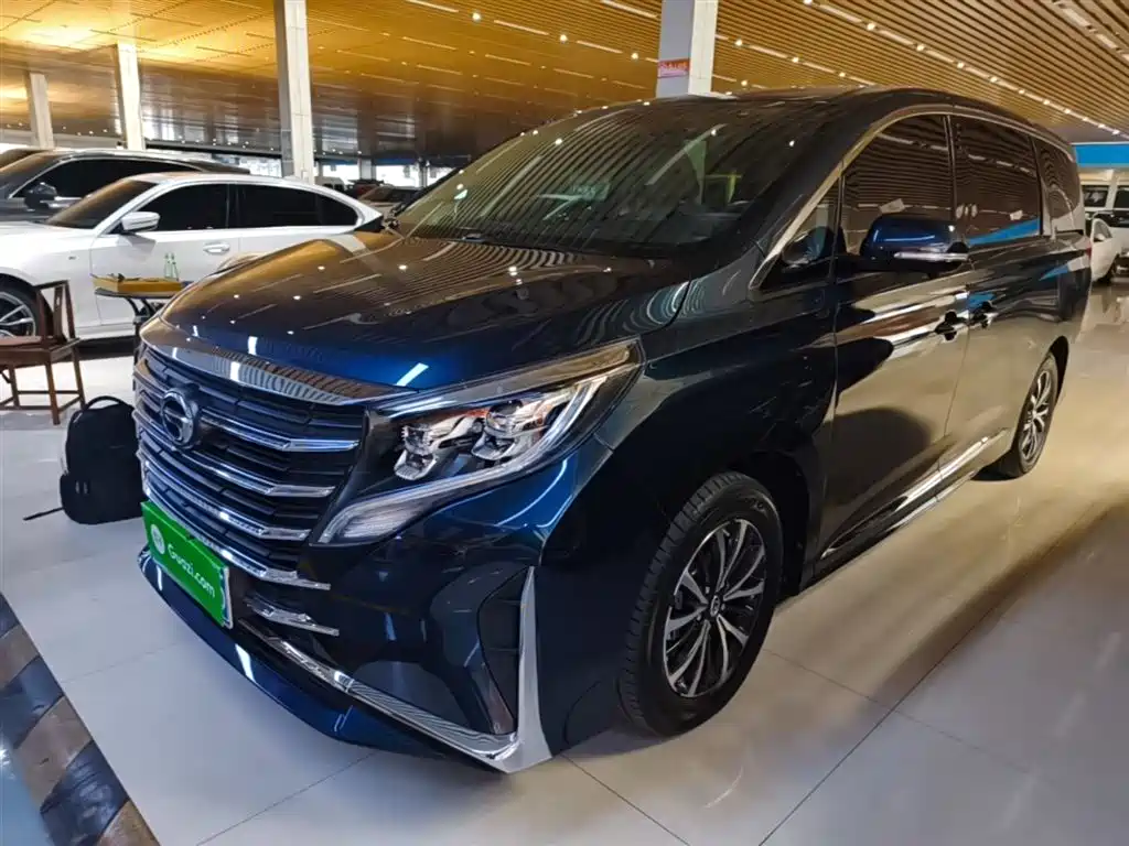 GAC Trumpchi Trumpchi M8 2021 Leading Show Series 390T Premium Edition фото 2