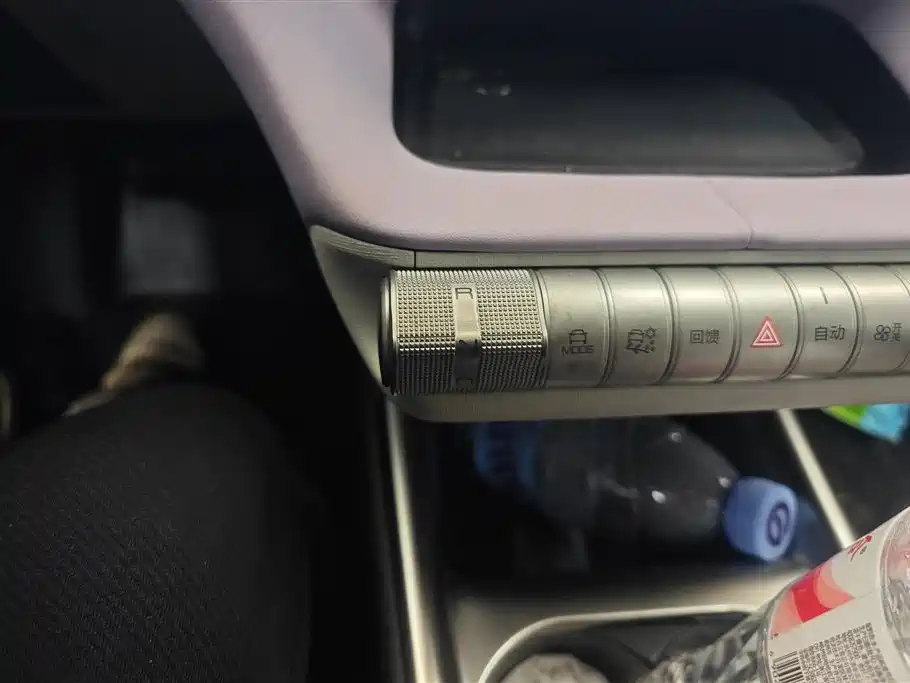 BYD Dolphin 2021 401km Knight Edition фото 16