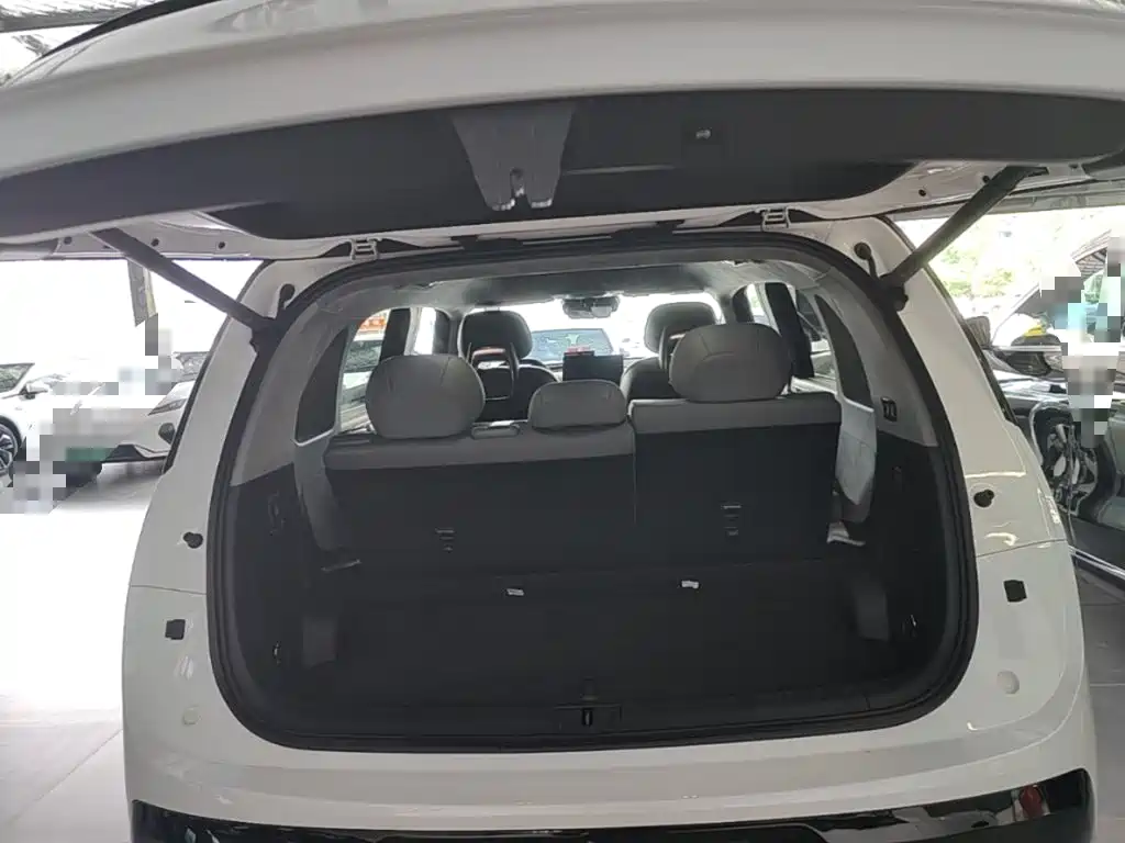 ZEEKR MIX 2026 2025 Smart Driving Edition