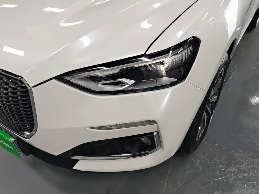 Haval F5 2020 2019 National Trend Edition 1.5T iTrend China VI