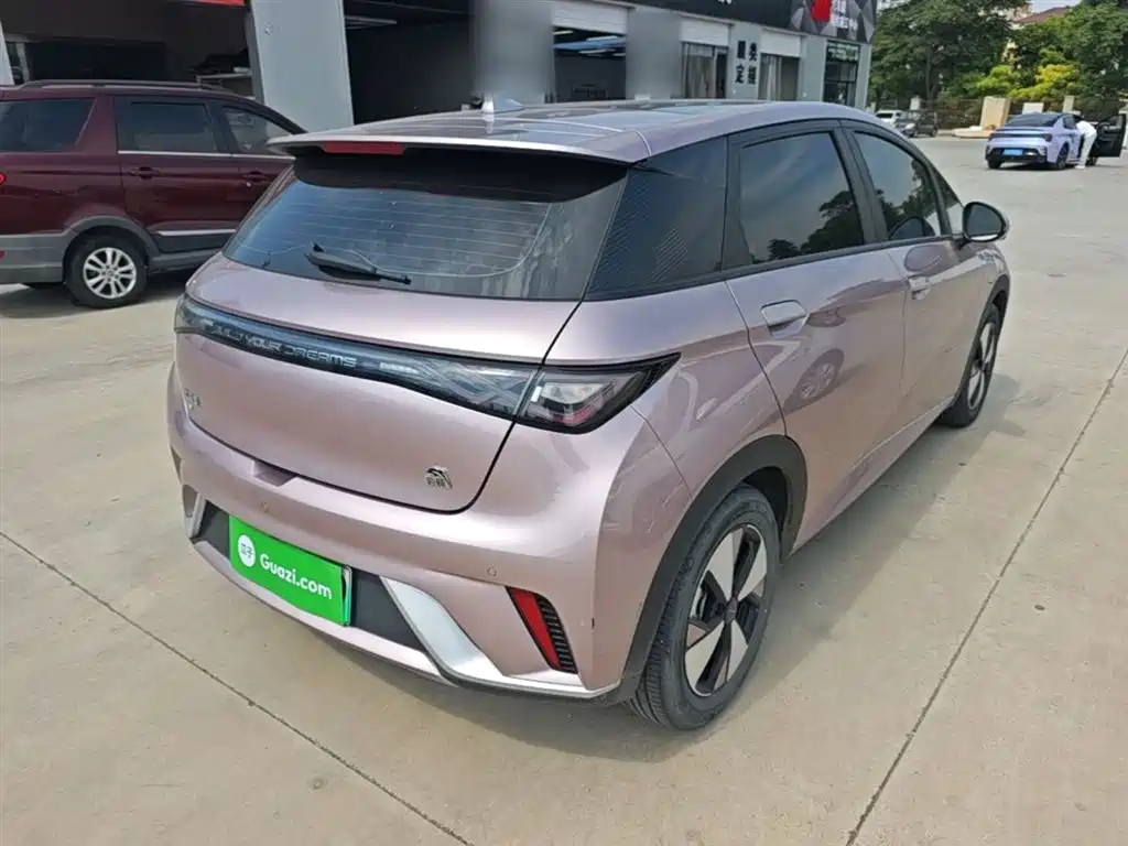 BYD Dolphin 2023 420km Fashion Edition фото 7