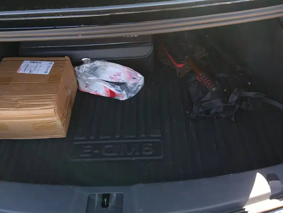 Hongqi E-QM5 2023 560km PLUS фото 4