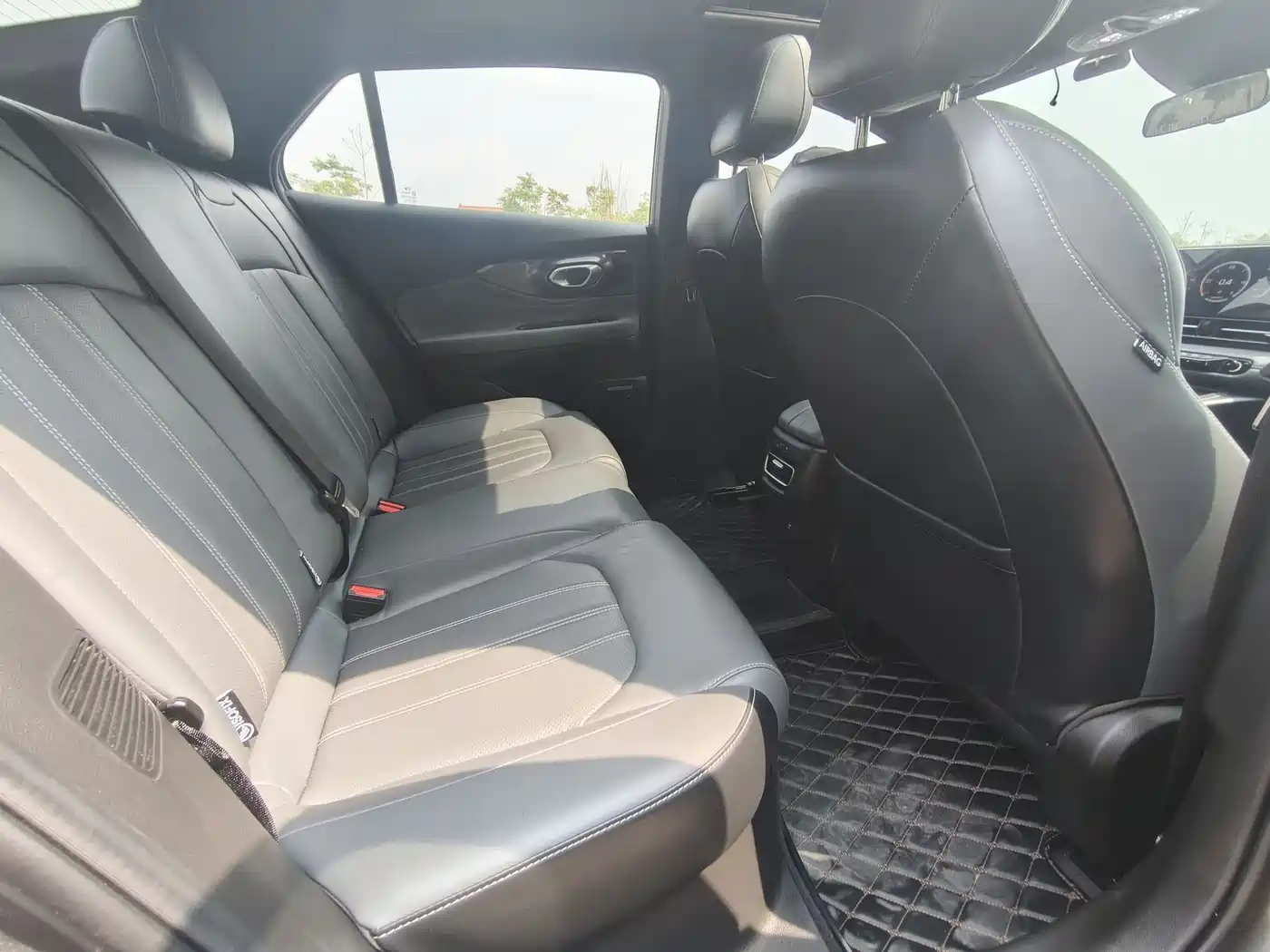 GAC TRUMPCHI SHADOW LEOPARD
