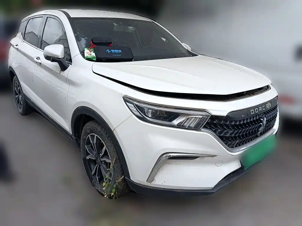 صورة 24 - Dacheng Auto Dacheng G60S