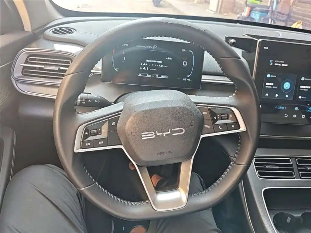 BYD Destroyer 05 2024 Glory Edition DM-i 55KM Luxury фото 11