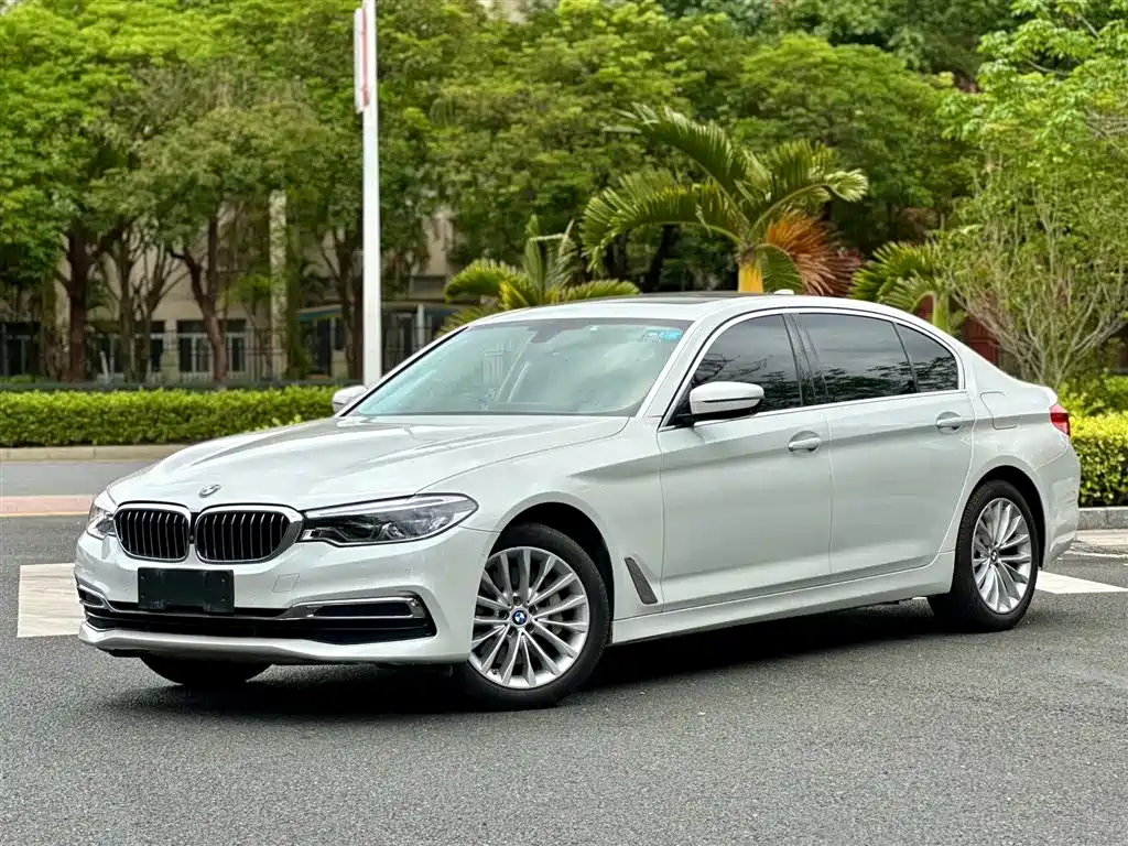 BMW 5 Series 2020 530Li Premium Luxury Package