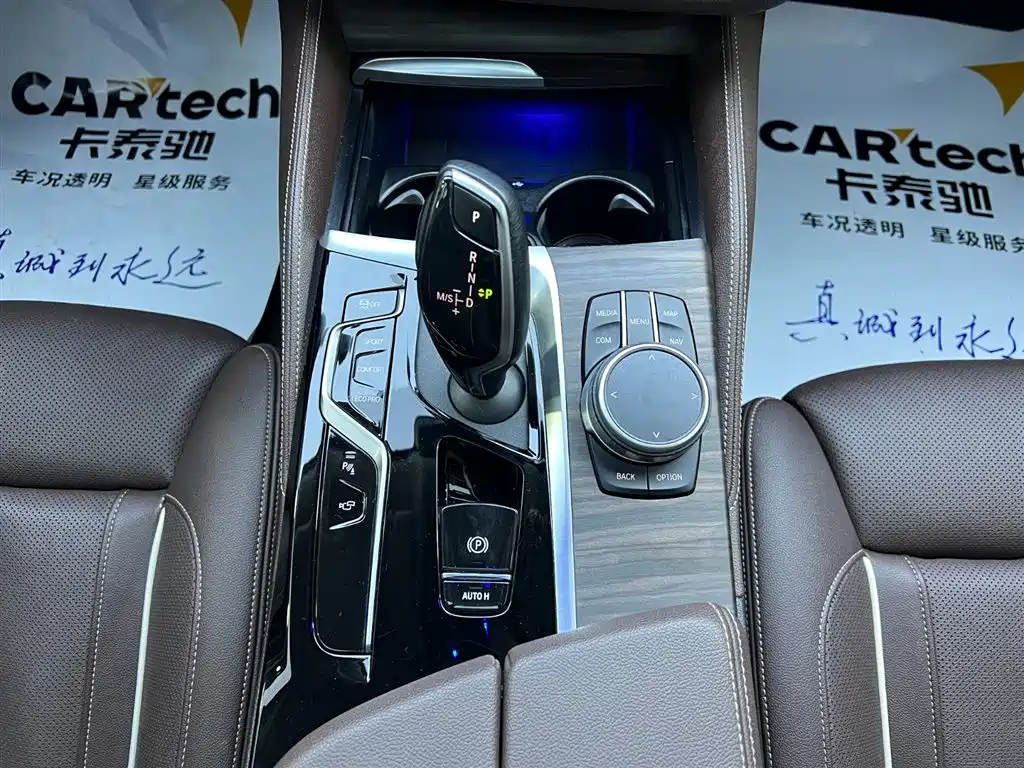 BMW 5 Series 2021 530Li Premium Luxury Package фото 15