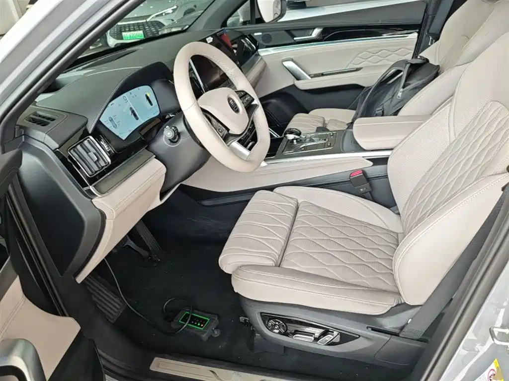 BYD Tang New Energy 2025 Smart Driving Edition DM-i 115KM Flagship фото 15
