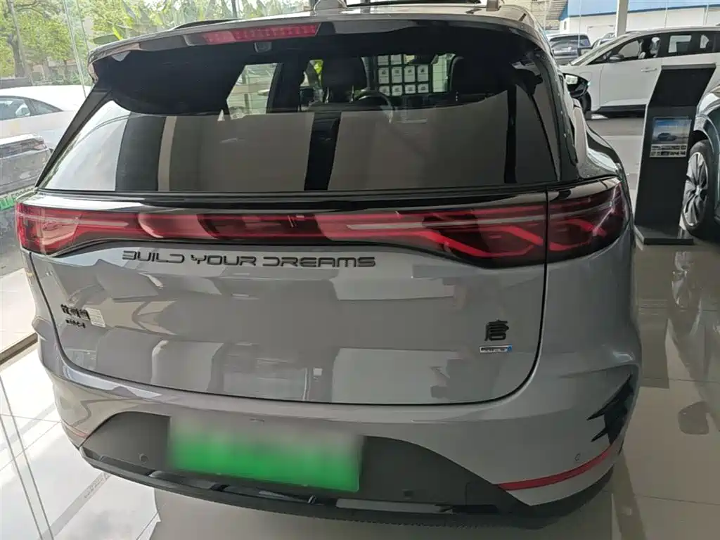 BYD Tang New Energy 2025 Smart Driving Edition DM-i 115KM Flagship фото 6