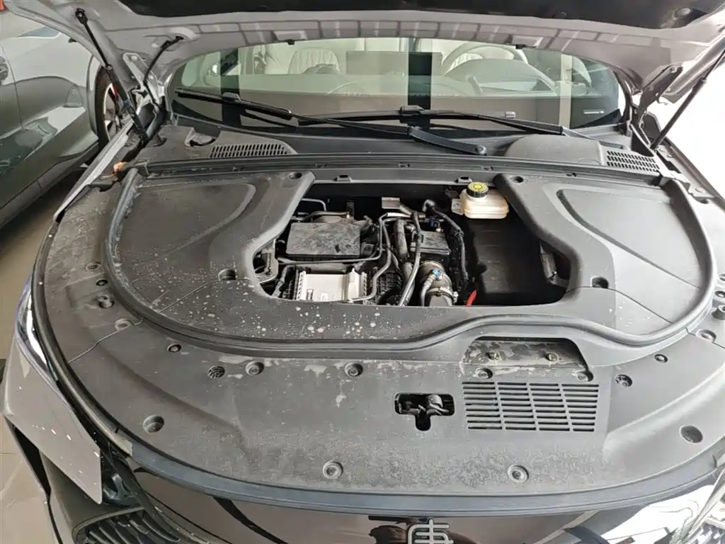 BYD Tang New Energy 2025 Smart Driving Edition DM-i 115KM Flagship фото 20