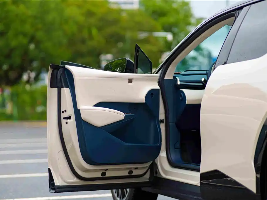 ZEEKR X 2023 2023 RWD YOU Edition 4-seater