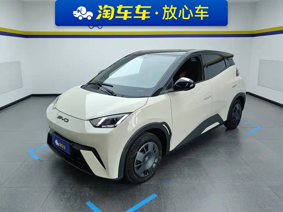 BYD Seagull 2023 Vitality Edition