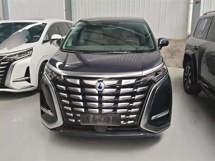 Denza D9 2022 DM-i 970 All-Wheel Drive Honor Edition фото 2