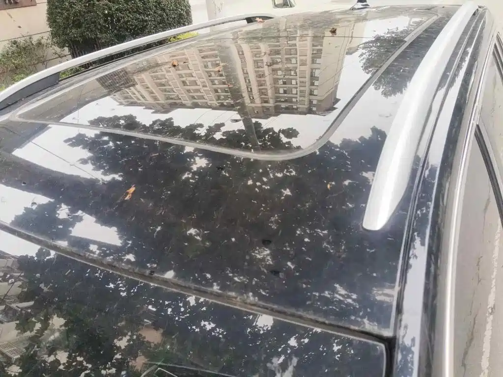 Roewe RX5 MAX 2020 2019 300TGI Automatic 4G Connected Luxury Edition