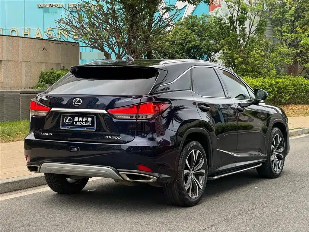 LEXUS RX