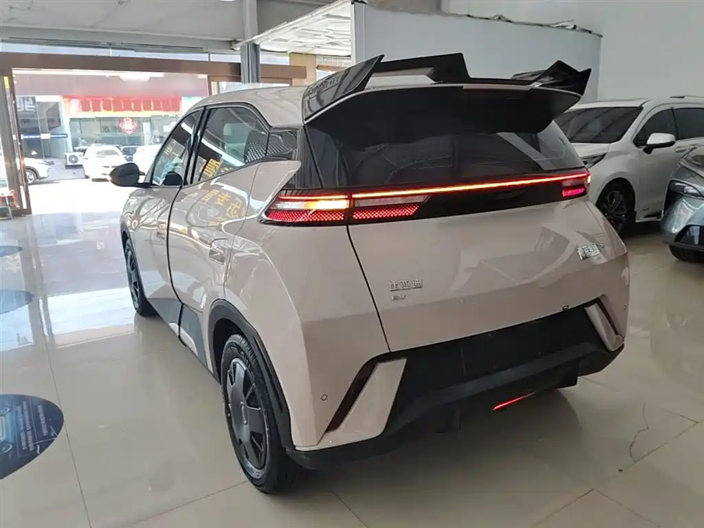 BYD Seagull 2024 Glory Edition 305km Vitality Edition фото 5