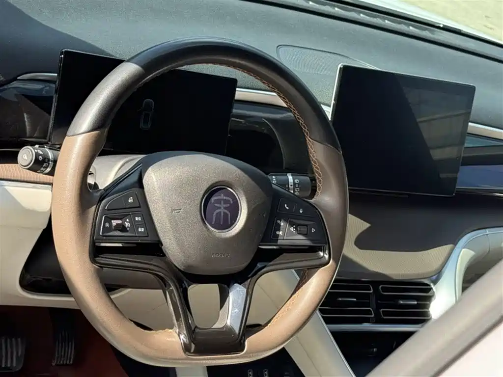 BYD Song Pro New Energy 2022 DM-i 51km Luxury фото 15