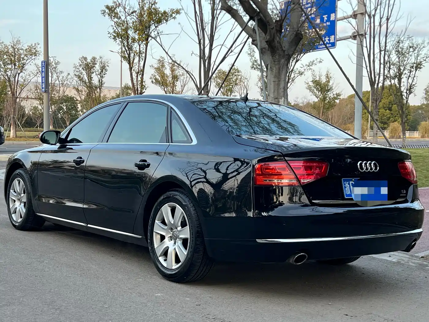 Audi A8 2013 A8L 45 TFSI quattro Comfort фото 9