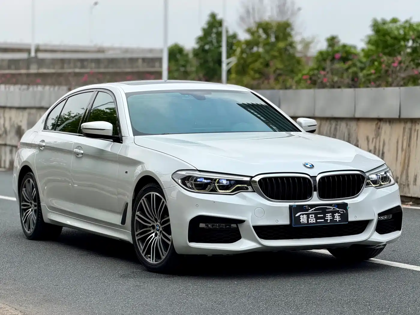 BMW 5 Series 2018 530Li Leading M Sport Package фото 3