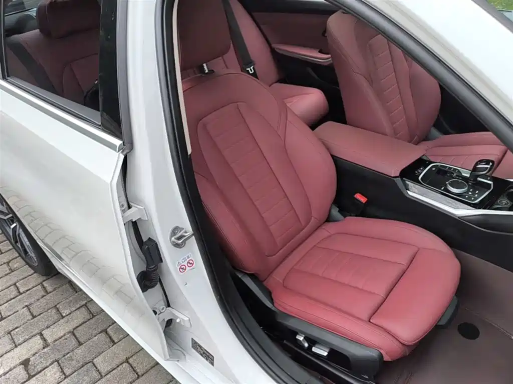 BMW 3 Series 2022 320Li M Sport Package фото 25